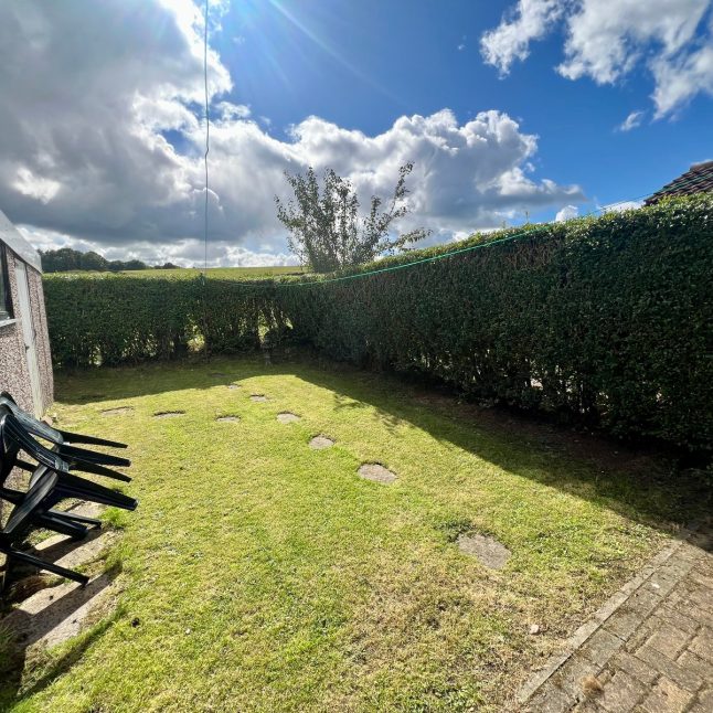 44782972.jpeg 44782972.jpeg