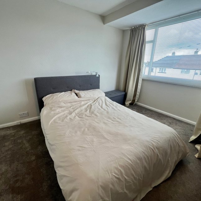 44783546.jpeg 44783546.jpeg