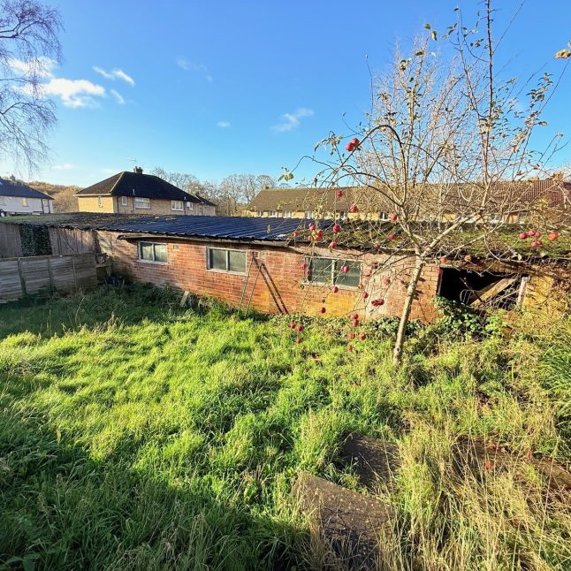 53132463.jpg 53132463.jpg