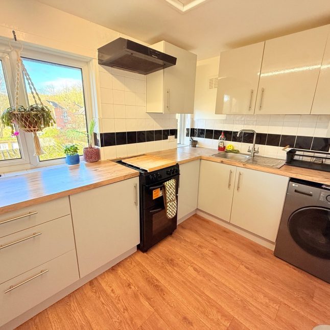 53133018.jpg 53133018.jpg